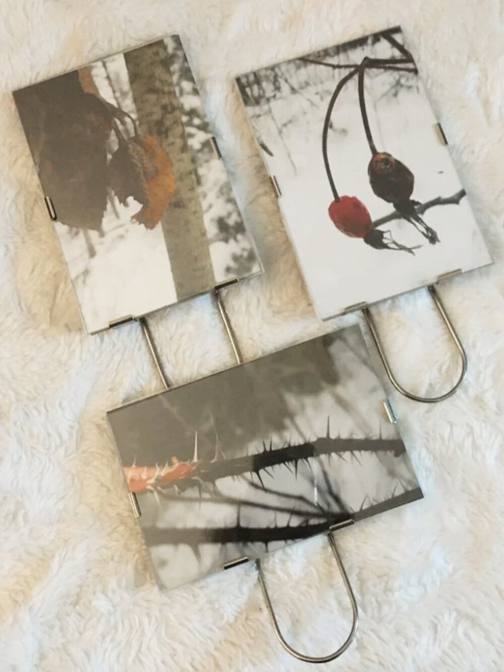 Set of 3 Glass & Metal Photo Frames with Canadian Winter Nature Photography